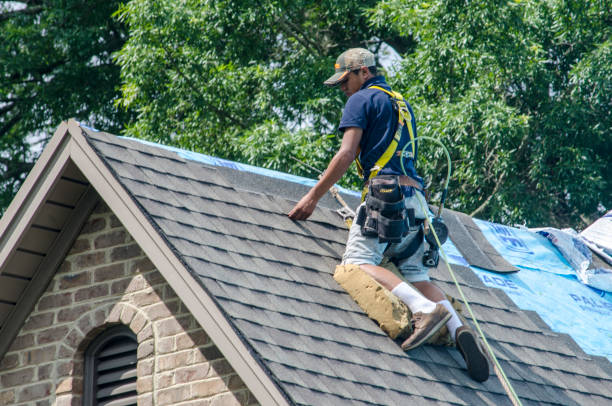 Best Roof Restoration Services  in Waterville, NY